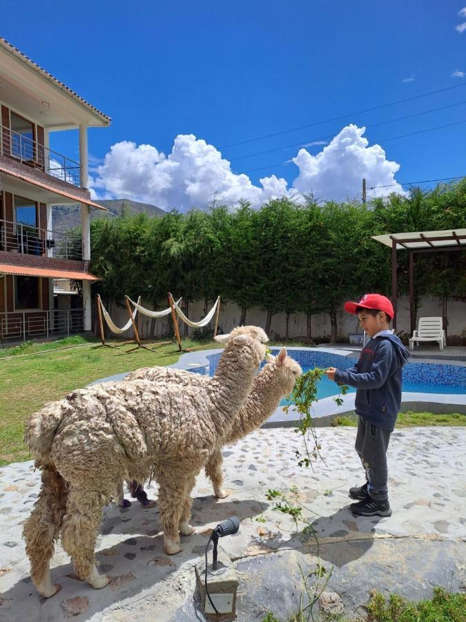 Runaway Eco Hotel Carhuaz Eksteriør bilde